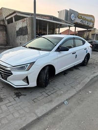 النترا • ٢٠١٩ • وارد أمريكي