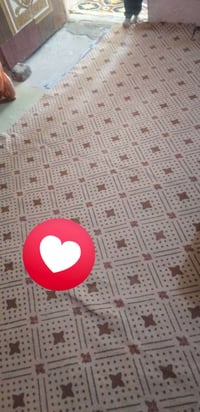 كاربت • نظيف • استعمال شتا