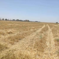 ٢ دونم • اغزيل دهوك • سند ٢٥ أبيض