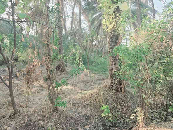 يالله أللهم صل على محمد وأل محمد 

للبيع قطعة  500 متر  طابو زراعي تحويل سهم 

العنوان كربلاء الحسينية قرب جسر الابراهيمية 

تبعد عن شارع الزوار  200 متر وعن جسر الابراهيمية 500 متر 

وعن مركز المدينة 15 كيلو 

تتوفر كافة الخدمات مي سقي سيح مي اساله 

#السعر   75  مليون مع المجال للجاد بالشراء 

للاستفسار اكثر اتصلوا بالارقام التالية 

(  ***********  )(  ***********  )

ابو فاطمة عنوان المكتب قرب جسر الابراهيمية 

عل سايد الخدمي مقابل شارع عون مكتب النافعي للعقارات كربلاء  النافعي للعقار  @أبرز المعجبين
