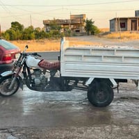 ستوتة • ١٥٠ • معمر جديد