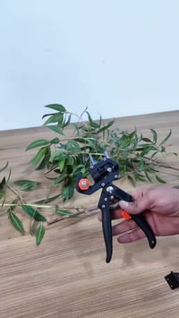 مقص زرع وتطعيم الازهار  مقص زرع وتطعيم الازهار ((السعر 20الف مع التوصي...