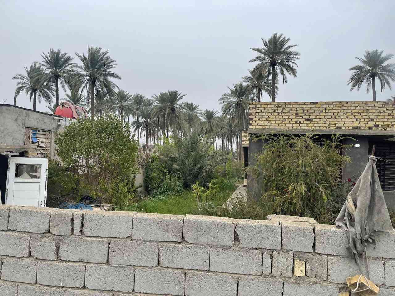 نص    دونم طابو 25 سند تحويل اسهم باسمك في ‏مع بيت 200 متر كربلاء شارع ام ام البنين منطقه طنوبه كافه الخدمات مدرسه متوسطه ابتدائيه مدرسه الثاني ماله العباس مباشره عالشارع للمعلومات اتصال/*********** /***********
