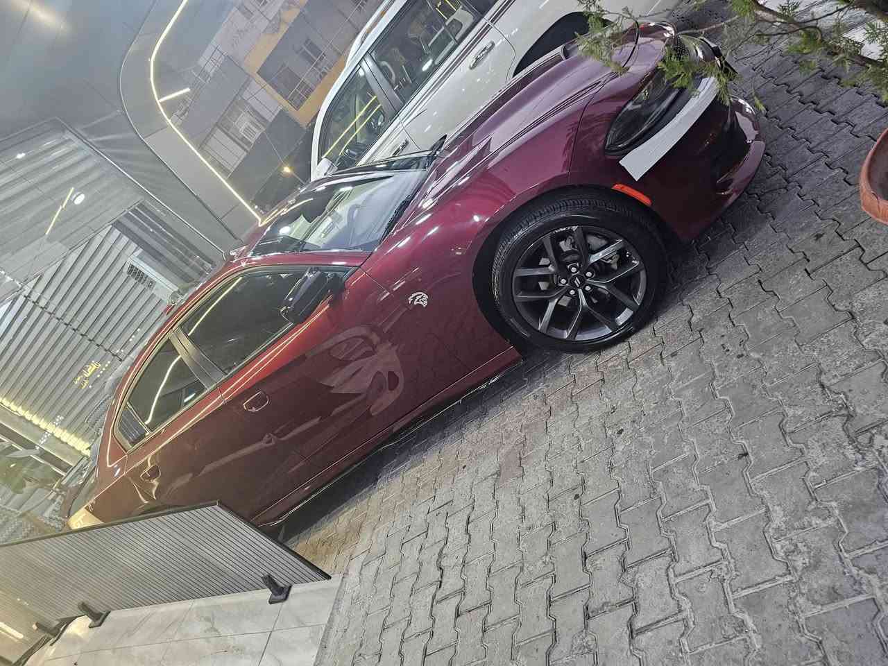 جارجر 2022 جي تي سبورت بلاص فول فول لل أخير عدا الفتحه فور ويل  كشنات كهربائي تدفئه تبريد هيتر مري رادار أمامي جانبي شفتات هواي مواصفات بيه  صدر كير مكينه بالباكيت اسياره ضررها جاملغ خلفي بي طخه بسيطه جداً زائد قطعه كلير بدون فتح بدون دواخل شرط بدون أرباك  تخم تاير صدر جديد اسياره أستخدام شخصي فقط رقم أربيل دولي الجديد با أسمي سنويه لل ٢٩ 

ذاكرلك تفاصيل كلها👆(السعر خاص)


**إذا كنت صاحب هذا الإعلان وتريد حذفه لأي سبب، رجاءا أرسل رسالة إلى الدعم الفني**