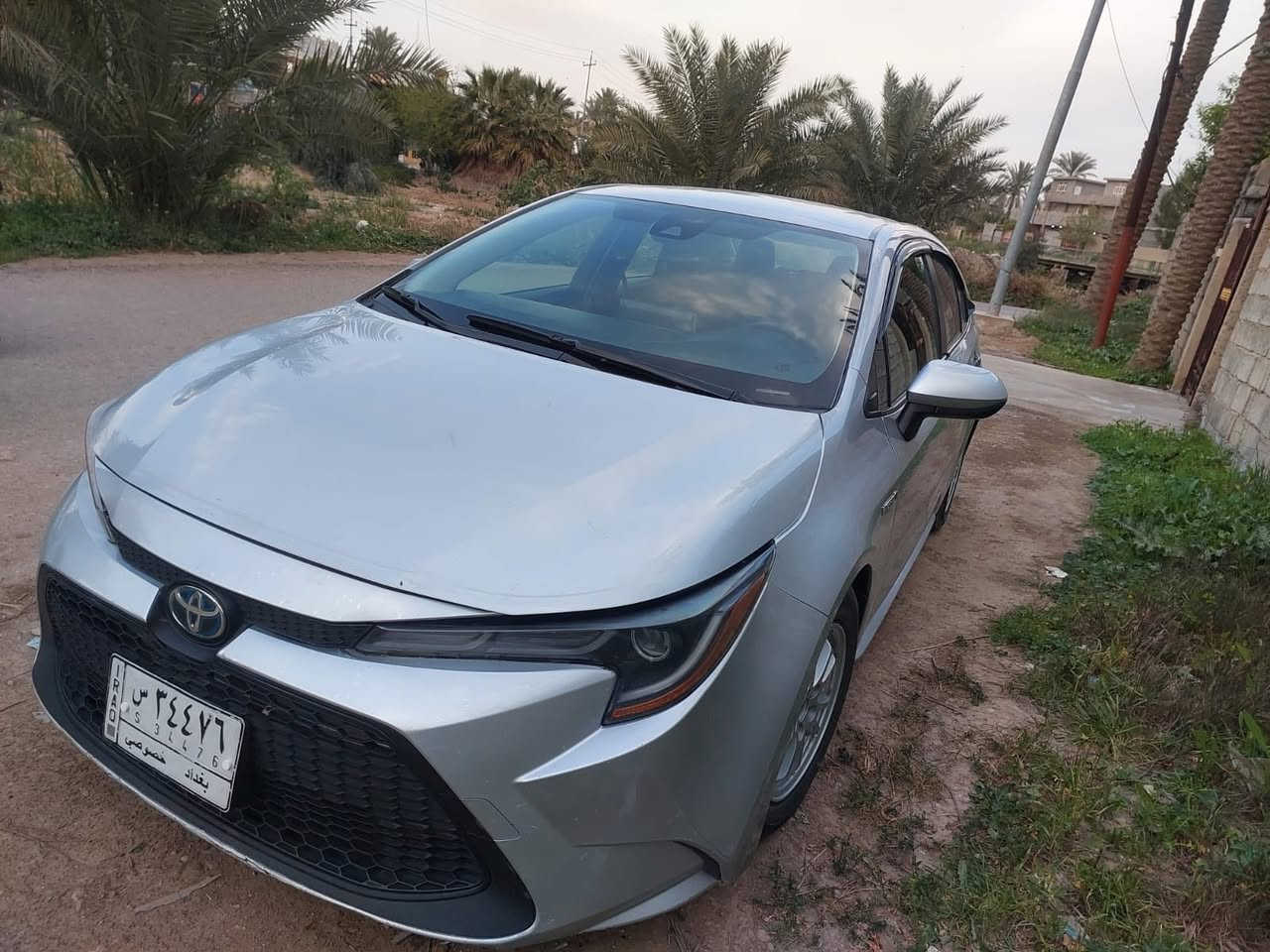 للبيع فقط
كورلا هايبرد 21
ضرر موضح بلسونار
رقم بغداد
فول عدى الفتحة
مكاني بعقوبة العبارة
سعر 140
***********
