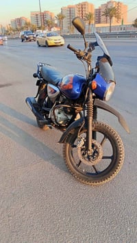 بوكسر جبلي • موديل ٢٣ • اوراق كاملة