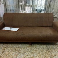 نص تخم • طبلة • شجرة ٢م