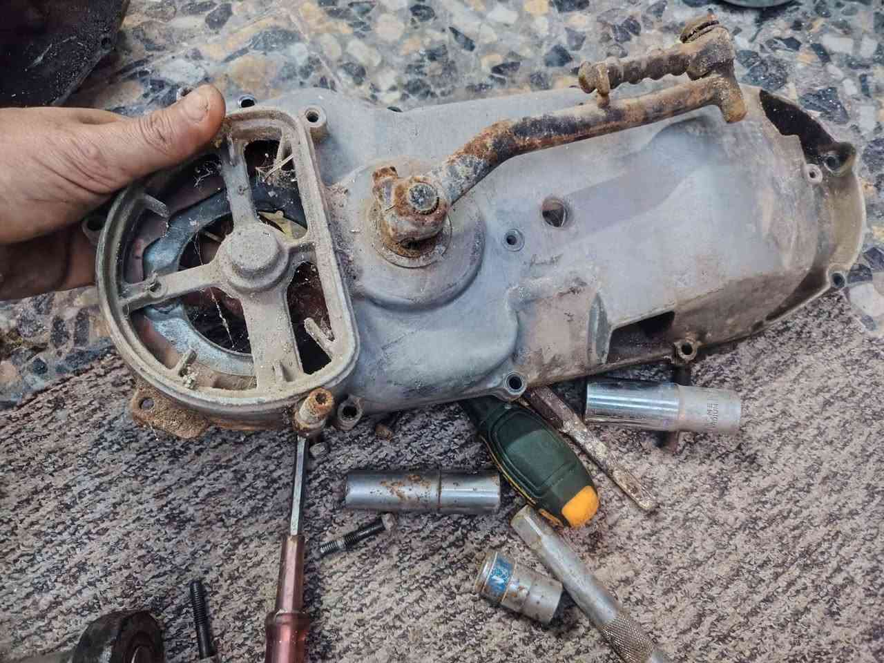 البيع تفصيخ تريد كامل تريد تفصيخ بيع الك نتصل بيك خير تدلل مكانه بصره معقل ***********
