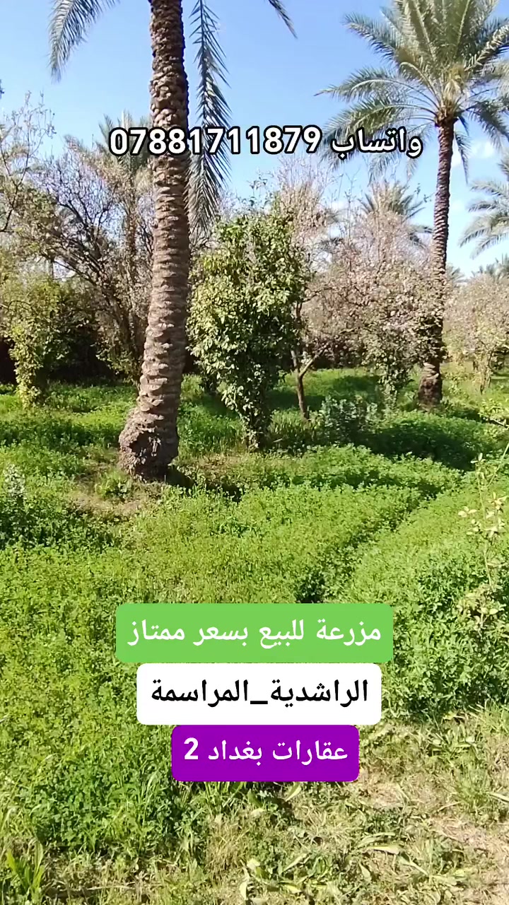 مزرعة و بستان للبيع بسعر ممتاز🔥
اي استفسار او عندك عقار حاب تعرضة للبيع
اتصل على ***********
