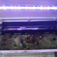 حوض سمك للبيع قياسات الارتفاع 55 والعرض 80  السعر 150 الف وبي مجال مع ...