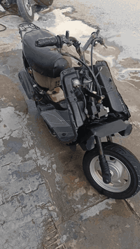 السلام عليكم دراجه بيجي للبيع كامله مكمله نكره سلف كهرباىيات كلها كامله ضفيرتها غراضها اصليه شرط مال اليابان نهضه ومعدلل
***********
هذه رقمي شراي بيه خير يدلل
