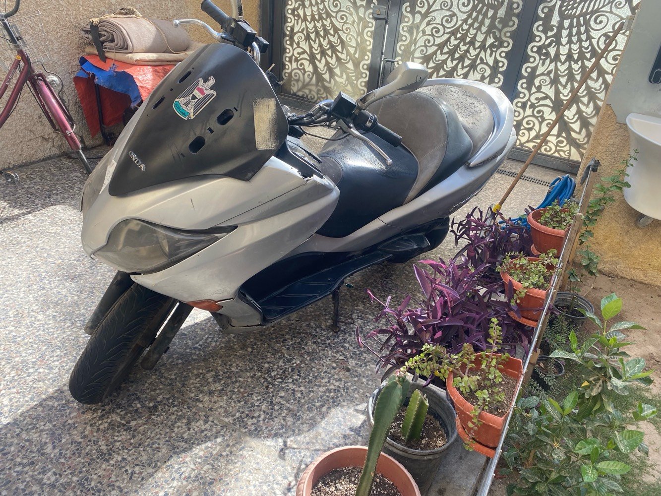 فورزا 010
كفراته تقريبا 40 بالميه
تايرات خلفي امامي جديد دسكات جديد دبلات خلفي جديده 
قايش وكلجات مصارله تلث اشهر مبدل
اويل بم جديد
حماوه على نص مي راديتر محلول مكينه مكفوله مابيه اي شي
دبلات امامي يحتاجله
وجويتر يخربط مرات يعني يحتاجله تبديل واني مالي خلك اودي واجيب صراحه
بس بيه ملاحضات فقط يحتاجله ترتيب ترجع احسن من قبل
سعرهه  650
عنوان بغداد الغزاليه