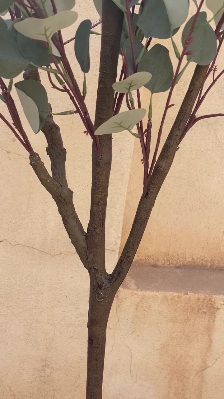 شجره الصفصاف الصناعيه كوالتي عالي ارتفاعه ١٨٠ سم سندانه اسود


**إذا كنت صاحب هذا الإعلان وتريد حذفه لأي سبب، رجاءا أرسل رسالة إلى الدعم الفني**