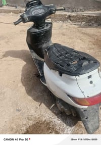 فراشة • فحل • تحتاج كبريتر