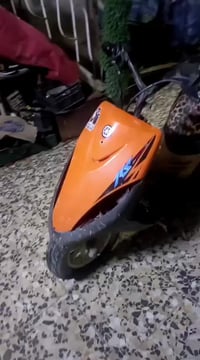 ماكس • تخبل • البلديات