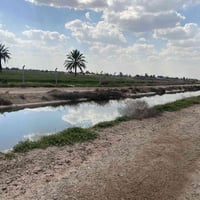 أرض للبيع بغداد • أرض زراعية بغداد • أرض استثمارية بغداد • أراضي 9 نيس...