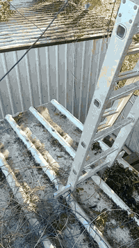 السلام عليكم من رخصت الادمن كادرنا متخصص بتنضيف وتصفيه المولدات وترتيب الوايرات بدون اي مقاابل فقط الواير المتروك واي قطع نحن مسوولين عليه ***********.  ***********
