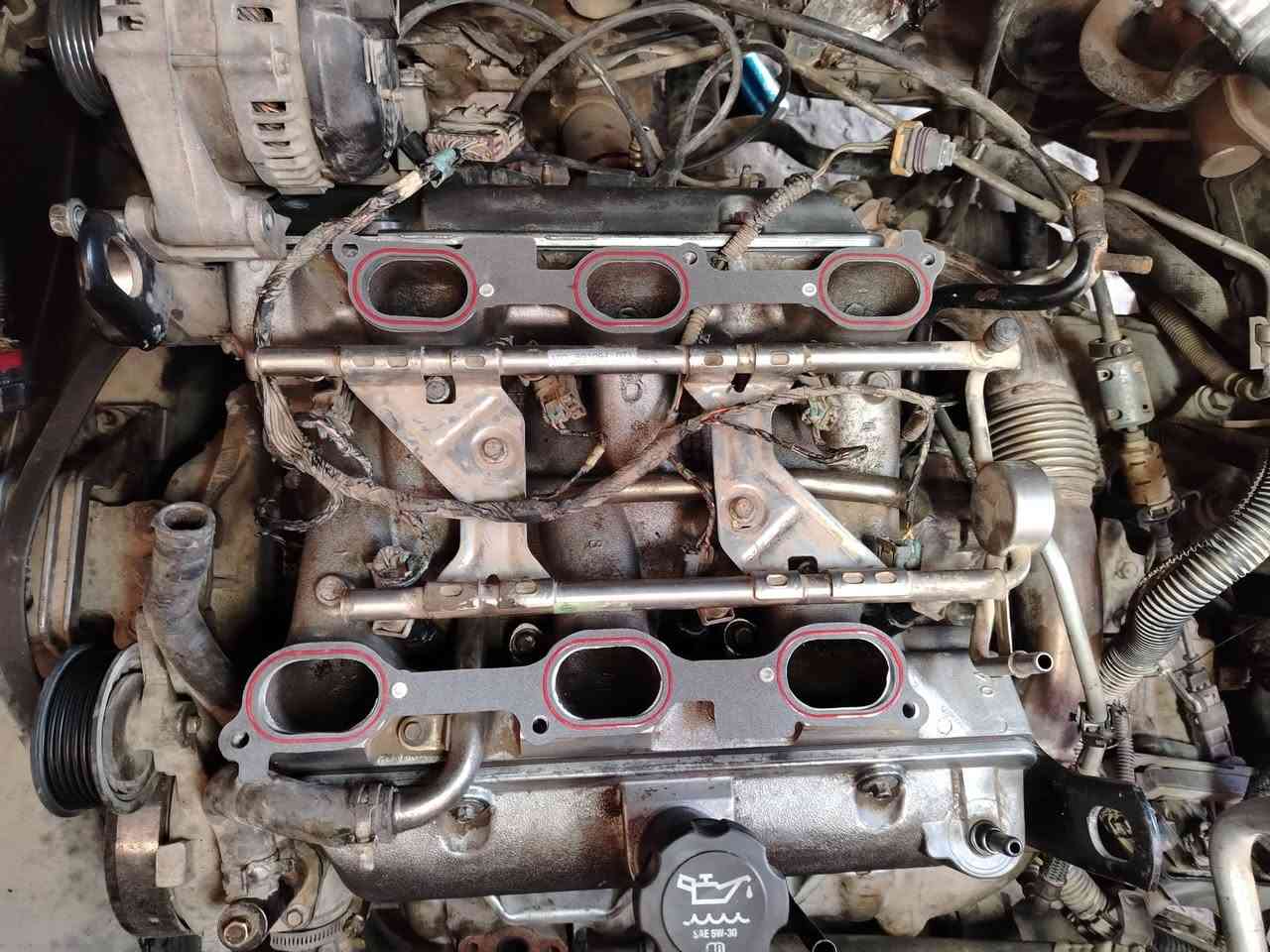 عمل كٓازكٓيت شفر اكونكس 2008.
🚘 🚘 🚘 🚘 🚘 🚘 🚘 🚘 🚘
#تبديل كازكيت
#تبديل واشر دكشن بارد
#تبديل واشر ثلاجة
#عمل كراين كورات
#تبديل بلاستك ولف
#بوليش وجة  السلندر
#ورشة انور سوزوكي كربلاء الحي الصناعي الابلوك الثاني
***********
***********
