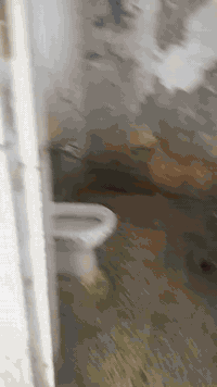 بيت عجد الجامع  لبيع 50م غرفه وصاله وصحيات مكلف بنشر م ***********
