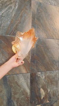 براكيت • موديل قوقعة • عدد ٣