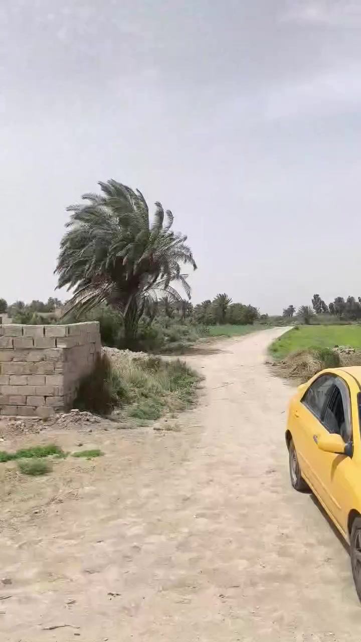 قطعه ارض عقد زراعي سعر مناسب 🟥 مساحته 1250 متر العرض 13متر ونزال 120متر موقعه على الشارع السياحي بين الملاحه والسدير  قرب معمل الماي مالت الساده الاميال 
متوفره كامل الخدمات ماي اساله ولزراعه كهرباء تبعد عن التبليط 100 قطعه كلش حلوه لتواصل *********** او خاص
