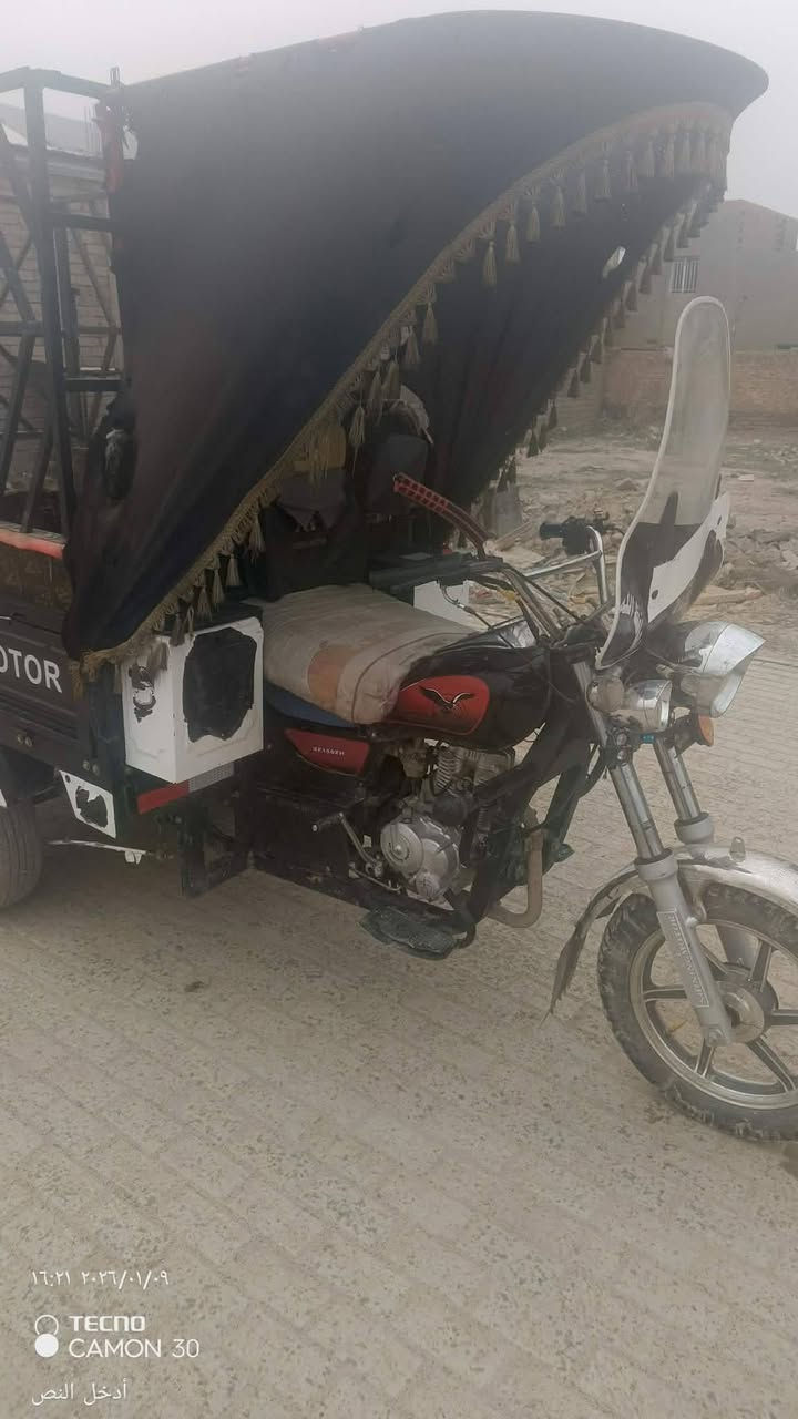 السلام عليكم..... ستوتة للبيع... 25..   فحل عالي ماعيزهة كلشي بس مكاتبة سعر.. مليون 500 وبية مجال شوية مكاني سامراء رقم تلفوني......... ***********
