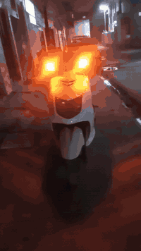 سلام عليكم  دراجة سكنس نثية ١١٠ دراجة كاملة من كلشي كشن توشمة كفرات تاي وان اشاير دراجة نكرة سلف  و هندر  عداد مال سرعة شغال ابريك   شغالة من كل الكهربايات العنوان بغداد حي اور.    السعر ٥٠٠ و بيها مجال. التصال على هاذ الرقم      ***********
