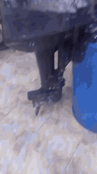 مكينه ام ثمانيه دوهاستو وبلم 14ذراع للبيع 
سعرهن750
للاستفسار اتصل على هذا الرقم
***********
