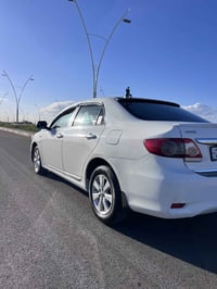 كورلا خليجي • ٢٠١١ • سامراء