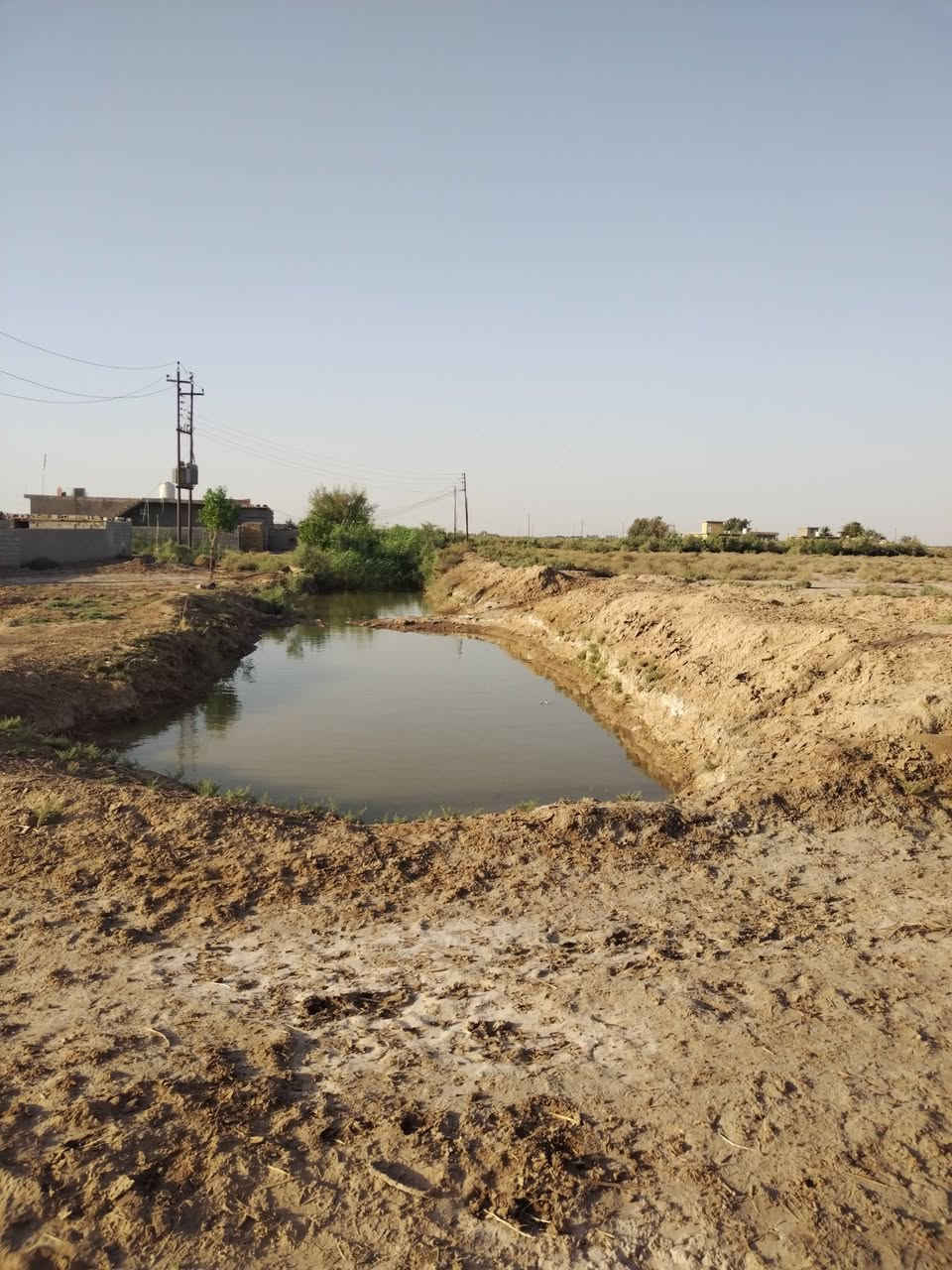 أرض زراعية ٣٠ دونم للبيع تقع على طريق الحي مقابل المعهد التقني الكوت كهرباء وماء سيح للسقي ومي اساله للشرب قريب منهه جدأ العقد الجديد ٢٤ الأتصال على هذا الرقم ***********
