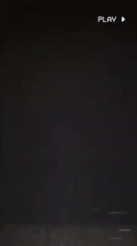 بايسكل • مصبوغ • شطرة شوملي