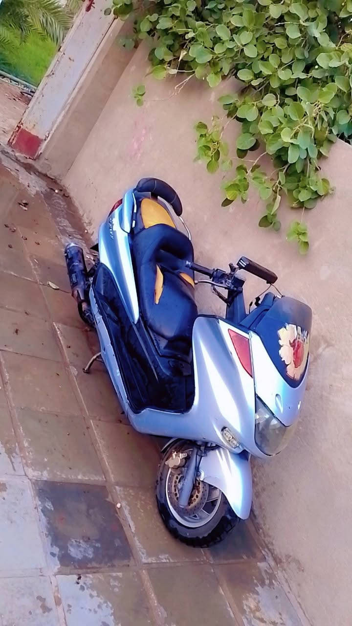 ماجستى تك رون جهازه من كلشي خير من الله مكانها النجف المناذرة السعر 350 للتواصل ع الرقم ***********
