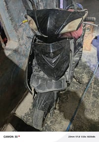 سكنس فحل • كايمه • سلف وهندر
