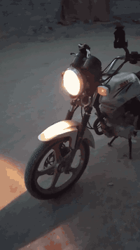 دايوان ٢٠١٧ • أوراق اصوالي • نضافة ٧٠/١٠٠