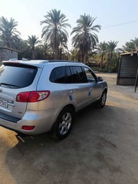 سنتافي • ٢٠١٠ • كاز