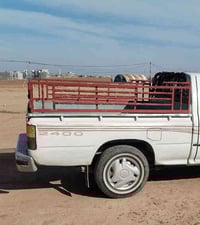 محجل للبيع اسعر 80 /رقم 07515133722