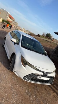 كورولا • ٢٠٢٢ • صبغ عام