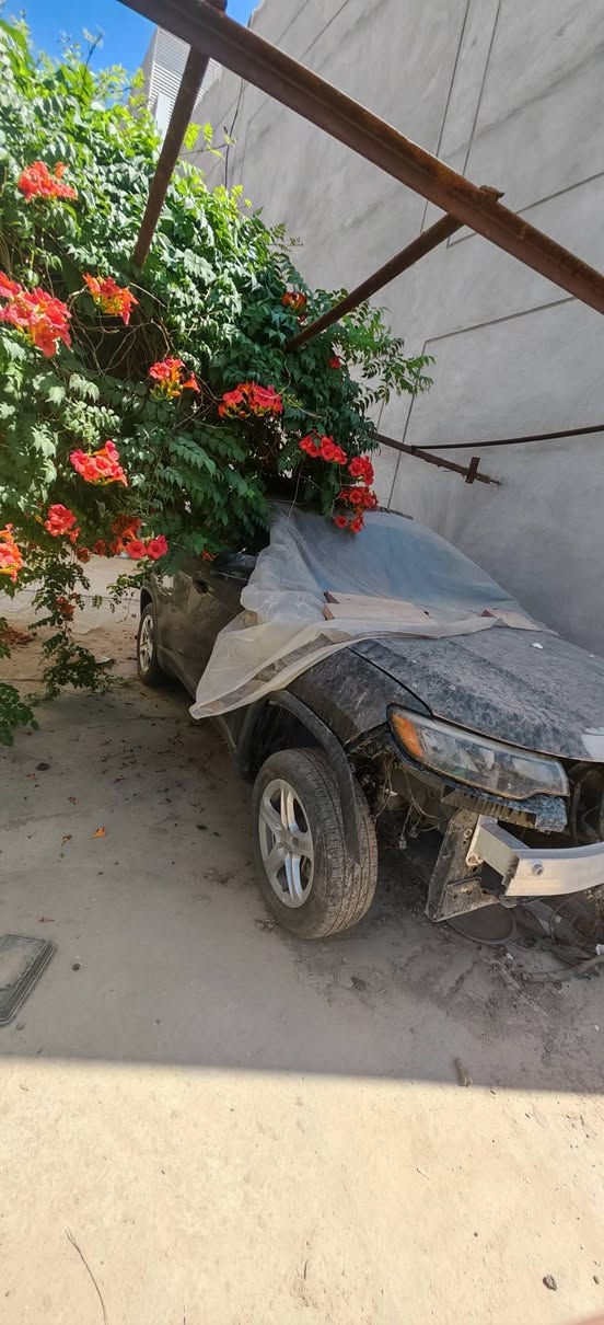 جيب كومباس موديل 23  
نقص كير ومحرك  وراديترات وبصمة 
للبيع  على وضعها  مصلح الهيكل فقط 
رقم الشاصي 

3C4NJDAN9PT572766
السيارة موجودة في بغداد 
السعر المطلوب 85 ورقة  بدون رقم مدفوعة الكمرك و الضريبة  

الاتصال 
***********
*********** بغداد, العراق

