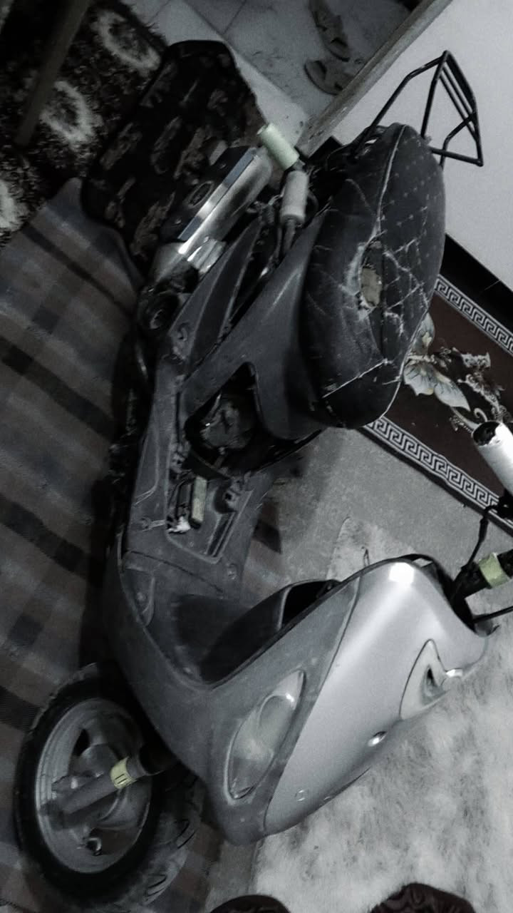 سلام عليكم يولد ماكس منغولي بوشه 55 🎭مال لعب صالنصه BF صجميه طياريات صفح للبيع السعر 275 او مراوس💙 بعدله مال لعب ناصريه مركز.. 😉💥


**إذا كنت صاحب هذا الإعلان وتريد حذفه لأي سبب، رجاءا أرسل رسالة إلى الدعم الفني**