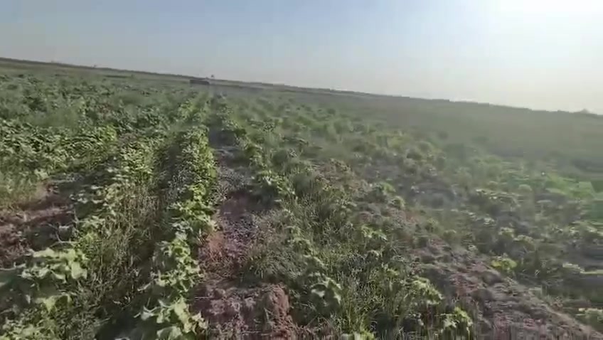 السلام عليكم يوجد اربع دوانب للبيع الزراعي طابو 25 طرف النعيميه السعر تواصل هذا الرقم *********** ***********
