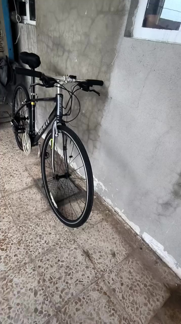 جاينت  نضيف ابلادي بعد احله من الصوره  شراي يجي خاص مكاني موصل ايسر والعندو رود مرتب نتراوس ونطي فرق حسب الاتفاق


**إذا كنت صاحب هذا الإعلان وتريد حذفه لأي سبب، رجاءا أرسل رسالة إلى الدعم الفني**