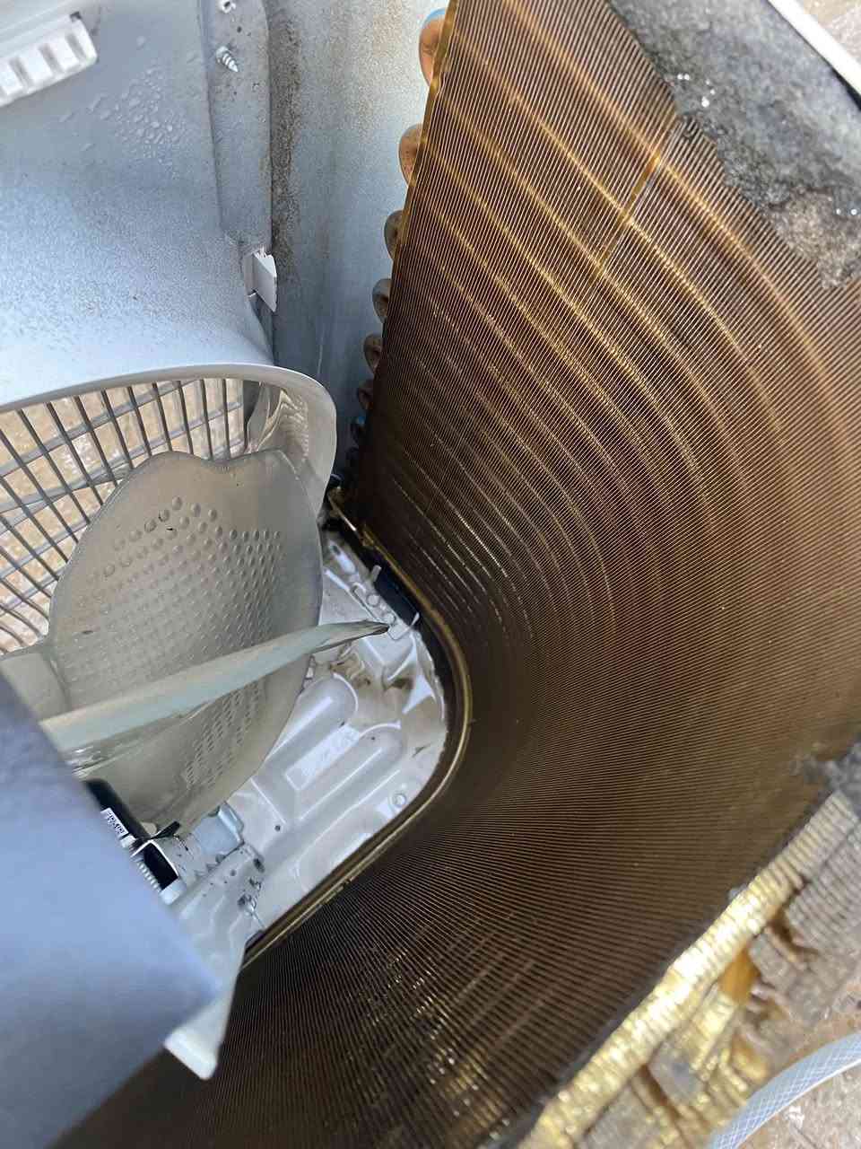 *********** الثعالبه
