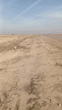 أرض للبيع مساحه 36 دونم علاه شارع العام السياحي بغداد بعقوبه الوجه 300...