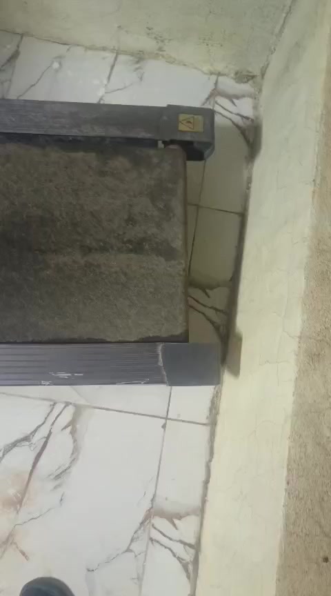 جهاز مشي درجه اولئ استخدام قليل السعر خاص


**إذا كنت صاحب هذا الإعلان وتريد حذفه لأي سبب، رجاءا أرسل رسالة إلى الدعم الفني**