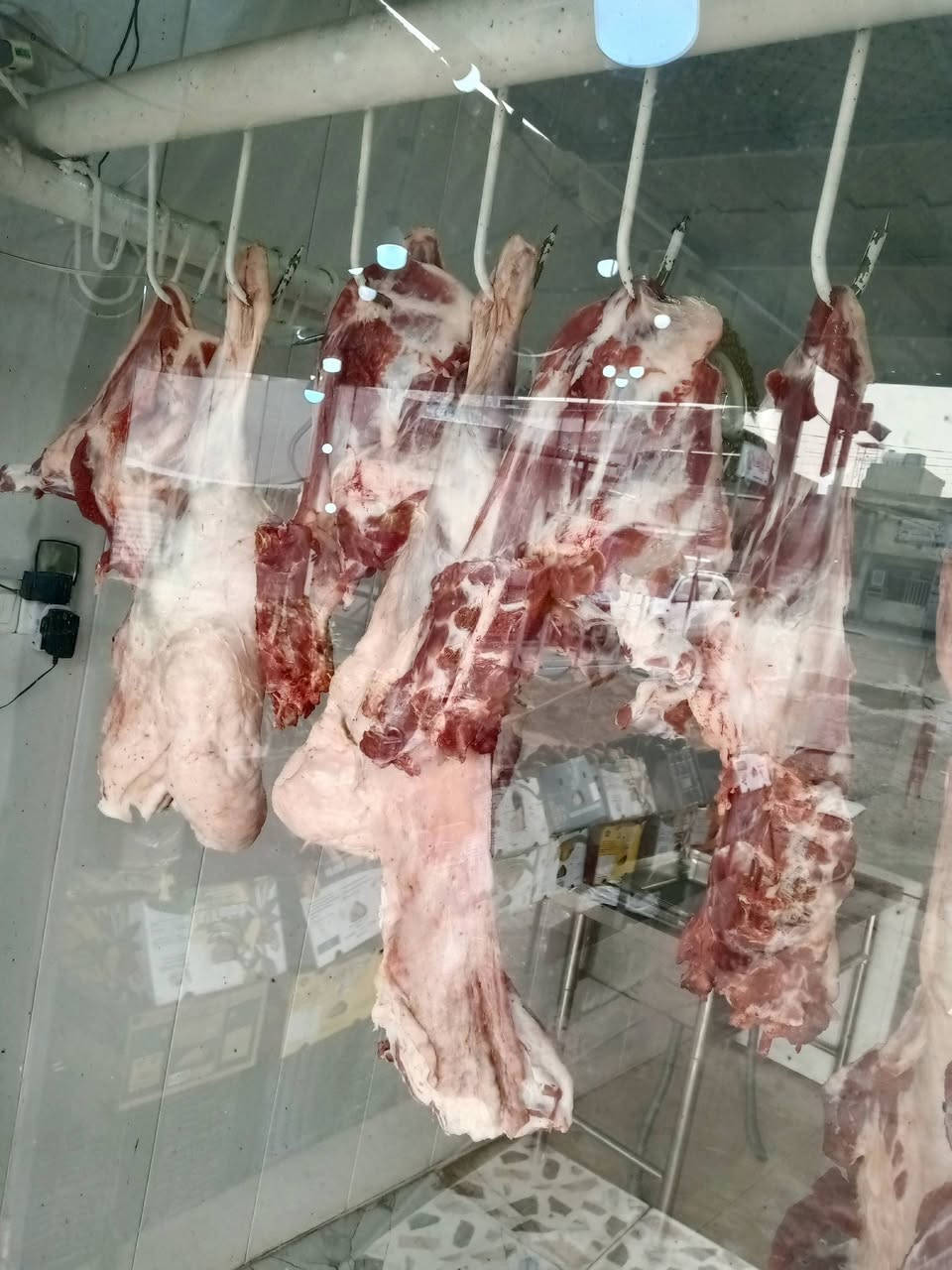 اللهم صلِّ على محمد وآل محمد

تم افتتاح علوة مخضر وسمج ودجاج وشوي وقصابه طه ابو يوسف حي فرات السوك مقابل جامع الفرات ومجاور مدرسه الطبري نورونه موجود كلشي وكلاشي وكله يوم بيومه ولتوفيق من الله   وهاذ رقم بي واتساب ***********
