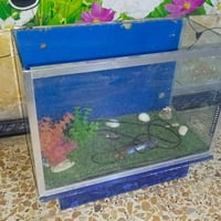 أحواض سمك • حوض سمك • حوض • سمك • زينة منزلية • ديكورات منزلية • أحواض...