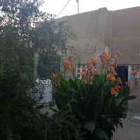 ياالله السعر بلاش بلاش  السلام عليكم دار للبيع يعتبر قطعه السعر بلاش (...