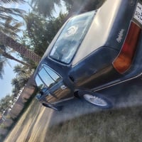 أرنب • ١٩٩٣ • رقم ديالى