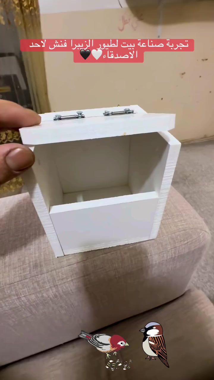 صناعة بيت لتكاثر طيور الفنشات من الفوم 10 ملم


**إذا كنت صاحب هذا الإعلان وتريد حذفه لأي سبب، رجاءا أرسل رسالة إلى الدعم الفني**