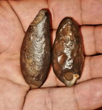 سلطانيات خوات قديمات • طاقه روحانيه • تصوير واضح